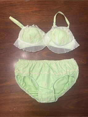 Vintage Jantzen Light Green Embroidered Bikini Set